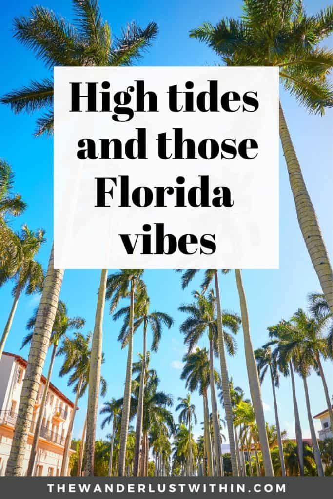 Florida florida Florida